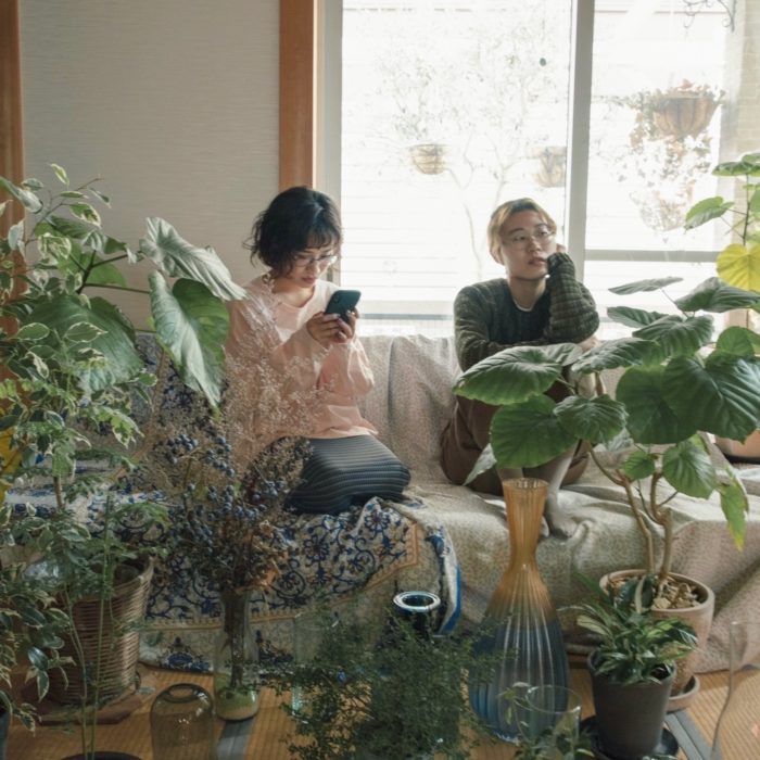 バカがミタカッタ世界